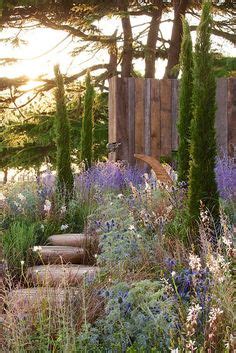 11 Mediterranean Garden Ideas | mediterranean garden, garden ...