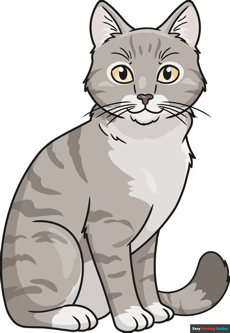 How to Draw a Realistic Cat - Really Easy Drawing Tutorial