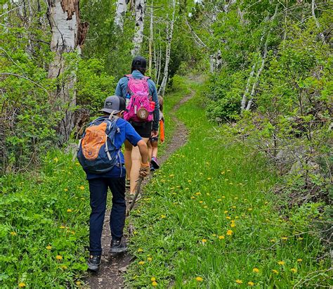 Great Basin National Park: Nevada's Not-So-Hidden Gem | Go RVing