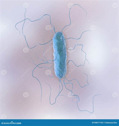Proteus vulgaris bacterium stock illustration. Illustration of life ...