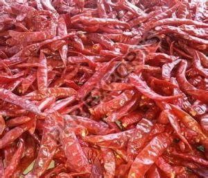 RED CHILLI GAURI TEJA S17 SANNAM 334