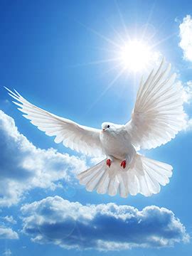 Obituary of Wilfred Charlie Guy | Taylor Funeral & Cremation Services