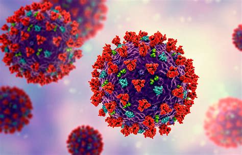 冠状病毒种类科普_新型冠状病毒种类2022已更新(今日/推荐)-ur建站