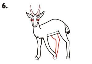 How To Draw a Gazelle - EASY Drawing Tutorial!