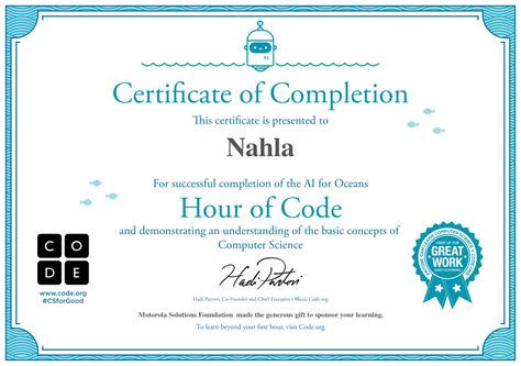 Code.org Certificate 的图像结果