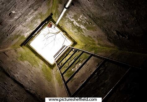 Searching Picture Sheffield