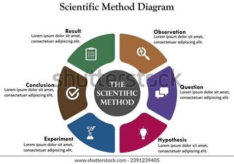 Image result for Scientific Method Observation Examples