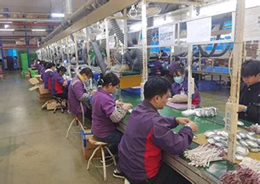 Company Overview - Felion Technologies Company Limited