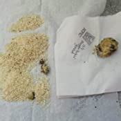 India Gate Basmati Rice Bag, Super, 5kg : Amazon.in: Grocery & Gourmet ...