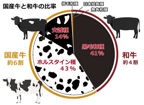 和牛と国産牛の違い~4つの和牛の種類 - 壱岐牛専科 牛肉研究所