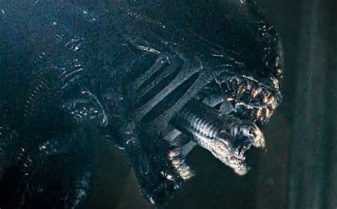 Image result for Alien Romulus Full Movie YouTube