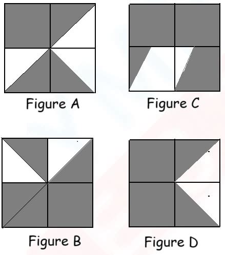 Class 3 IMO Important Questions on Fractions | Olympiad tester