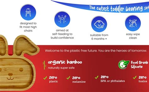 StarKiddo® Bamboo Bunny Suction Plate with Feeding Spoon | 3 Sections ...