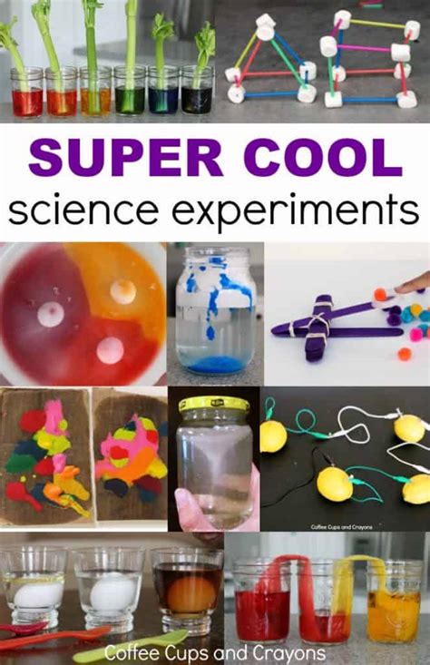 Cool Easy Science Experiments 的图像结果