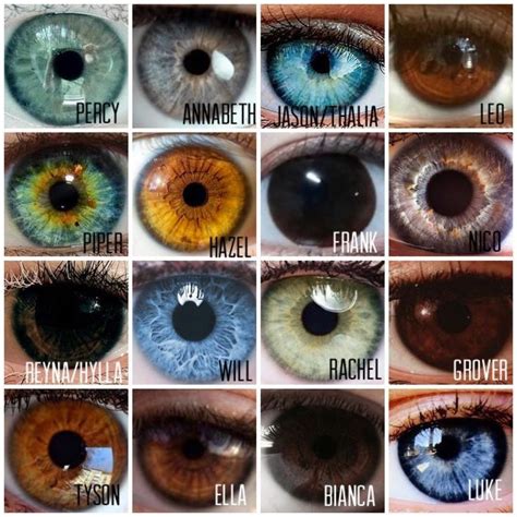 Image result for Eye Color Rarity Chart