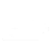 Mice as Pets - FOUR PAWS International - Animal Welfare Organisation