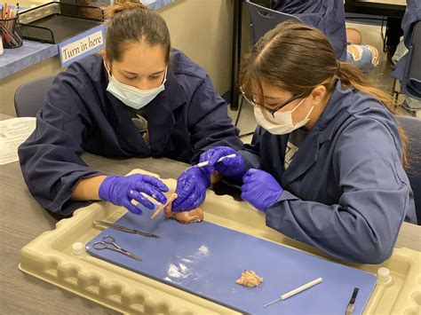 Health Services — Willamette Career Academy