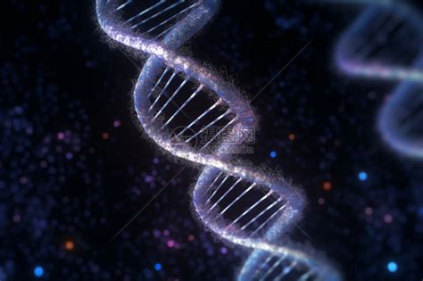 基因图片 的图像结果