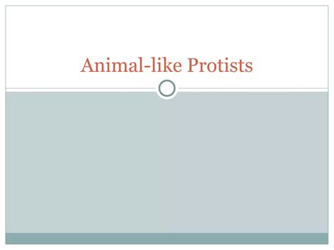 Animal like protists | PPT