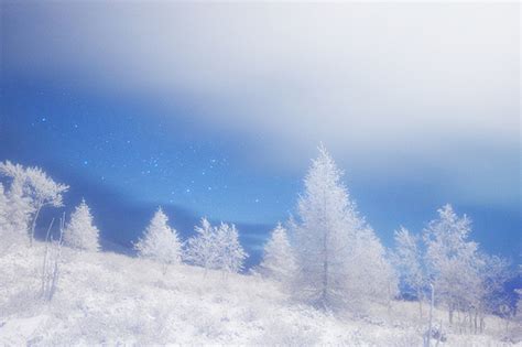 雪景意境_冬季雪景图片_QQ图片网