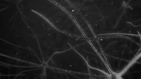 Image result for Download Robpm & T78 Kick Tutorial Files