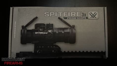 Image result for Vortex Spitfire 3x Scope
