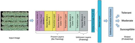 Estimation of Off-Target Dicamba Damage on Soybean Using UAV Imagery ...