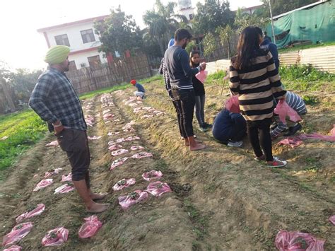 Experiential Learning - Top Rank University in Punjab, North India ...