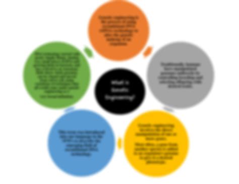 Image result for Genetic Engineering Concept Map