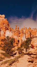 Svalbard: No visa required to live and work in this European ...