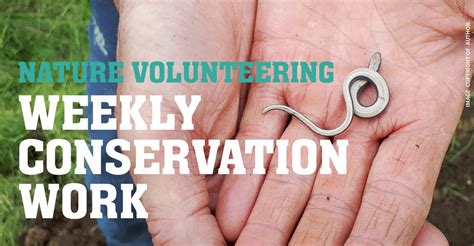 Reed Bed Cut & Rake at Trap Grounds, Trap Grounds, Oxford, 15 September ...