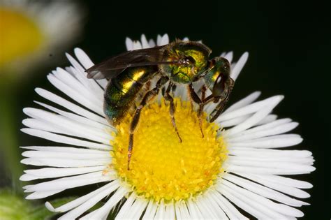 Image result for Nature Spring Box Stack