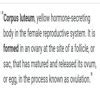 What forms corpus luteum? Name the two hormones secreted by it ...