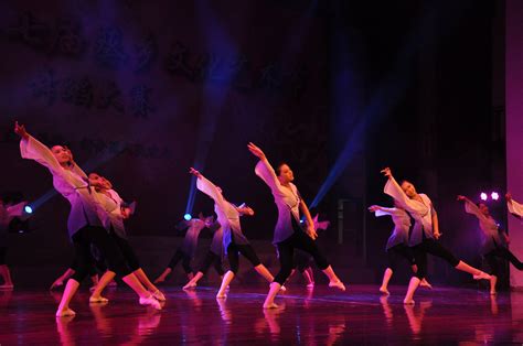 精彩来袭！南岸区举行第十五届中小学生艺术节舞蹈专场比赛-学习在线