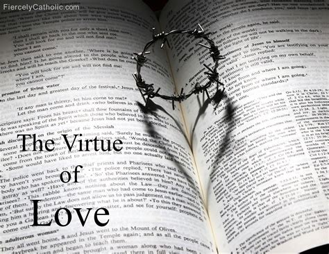 Virtue 的图像结果