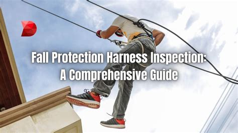 Fall Protection Inspection 的图像结果