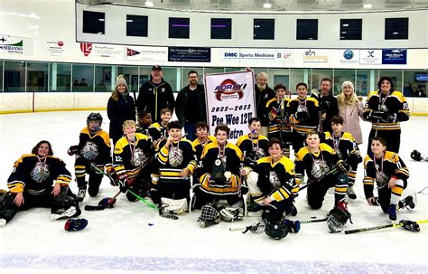 Hockey metro: equipos juveniles y la división metropolitana de la nhl ...