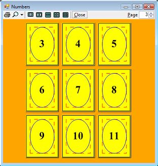 Print Form VB.NET 的图像结果