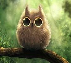 Barn Owl Phone Wallpaper by Pin By Cheryl Guziczek On Cool Pets Owl Wallpaper Barn Owl Phone Wallpaper