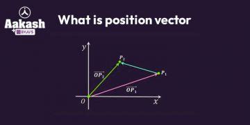 Position Vector of a Straight Line 的图像结果