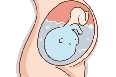 怀孕六个月胎儿发育很快，这些事项每一个都重要，孕妈做完才安心_宝宝