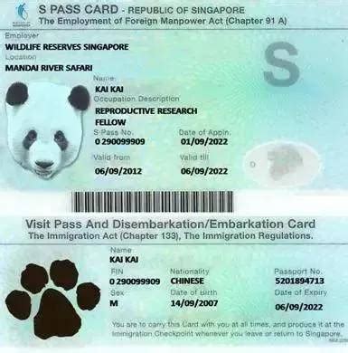 新加坡签证正确打开方法，看这篇文章就够了__凤凰网