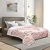 Signature Microfiber Reversible Double Bed 300 GSM Comforter (Blushy ...
