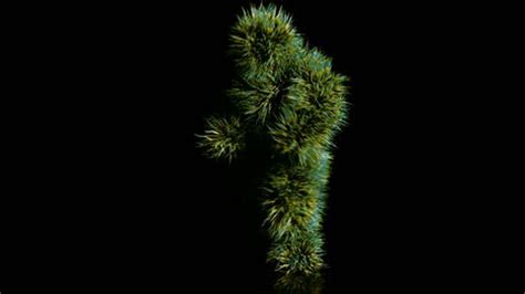 Image result for Alien Dancing Challenge