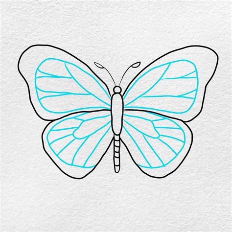 Monarch Butterfly Drawing - Park Gropen49