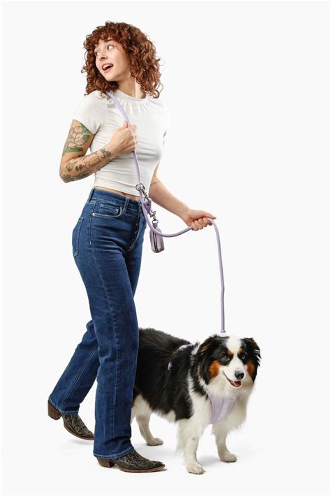 kismet dog food