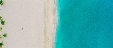 FlyOnline: Affordable Flights & Hotels | Best Deals, Easy Booking ...