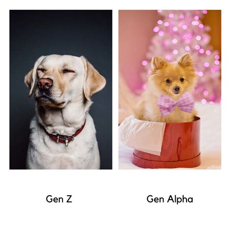 Gen Alpha Memes List - Gen Alpha World