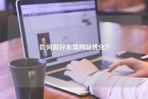 东莞SEO - 东莞网站优化、百度推广、网络营销 - 传播蛙