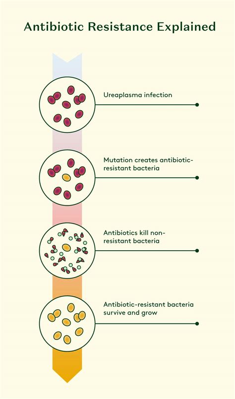 Guide to Ureaplasma